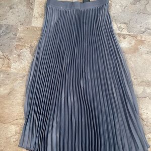 H&M Pleated Skirt